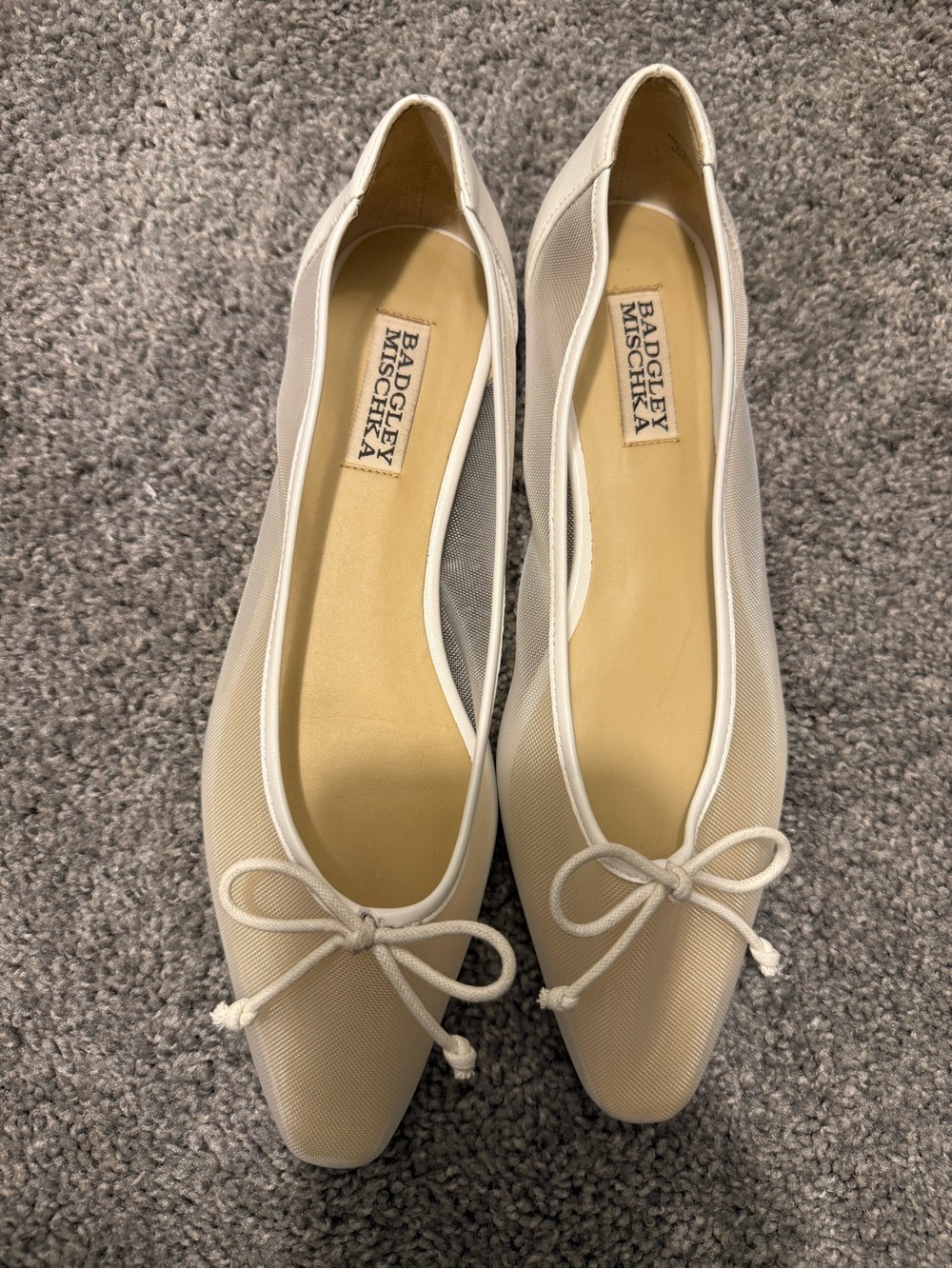 Badgley Mischka Women's Cam Sheer Mesh Evening Ballet Flats